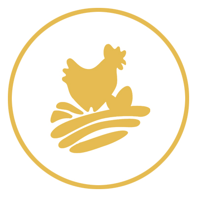 ɽ�|�����r(n��ng)���Ƽ��ɷ����޹�˾�I(y��)��(w��)�I(l��ng)��ɢ�B(y��ng) 